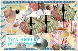 seashell-mail-art-hiddeninfo